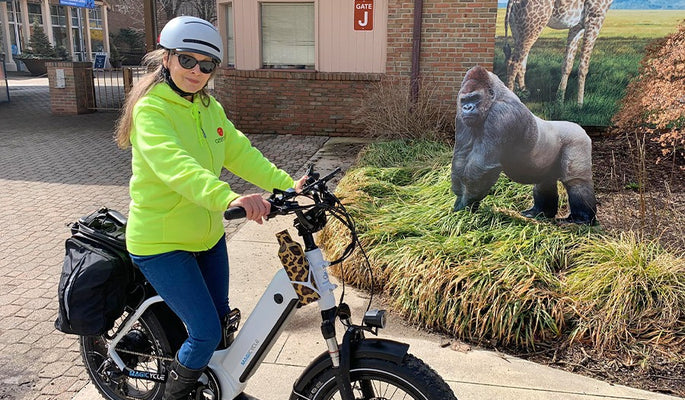 What Is A Cruiser Ebike Good For?