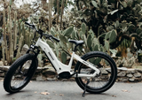 Call for availability . Himiway D5 ST (Zebra ST) | Premium All-terrain Electric Fat Bike