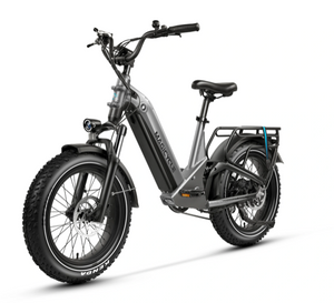 Magicycle Deer 20" Soft Tail Step-Thru 22" OD Fat Tire Electric Bike