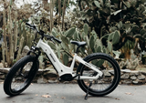 Himiway ZEBRA ST All-terrain Electric Fat Bike