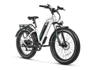 Magicycle Cruiser Pro Mid Step-Thru ALL TERRAIN E-Bike